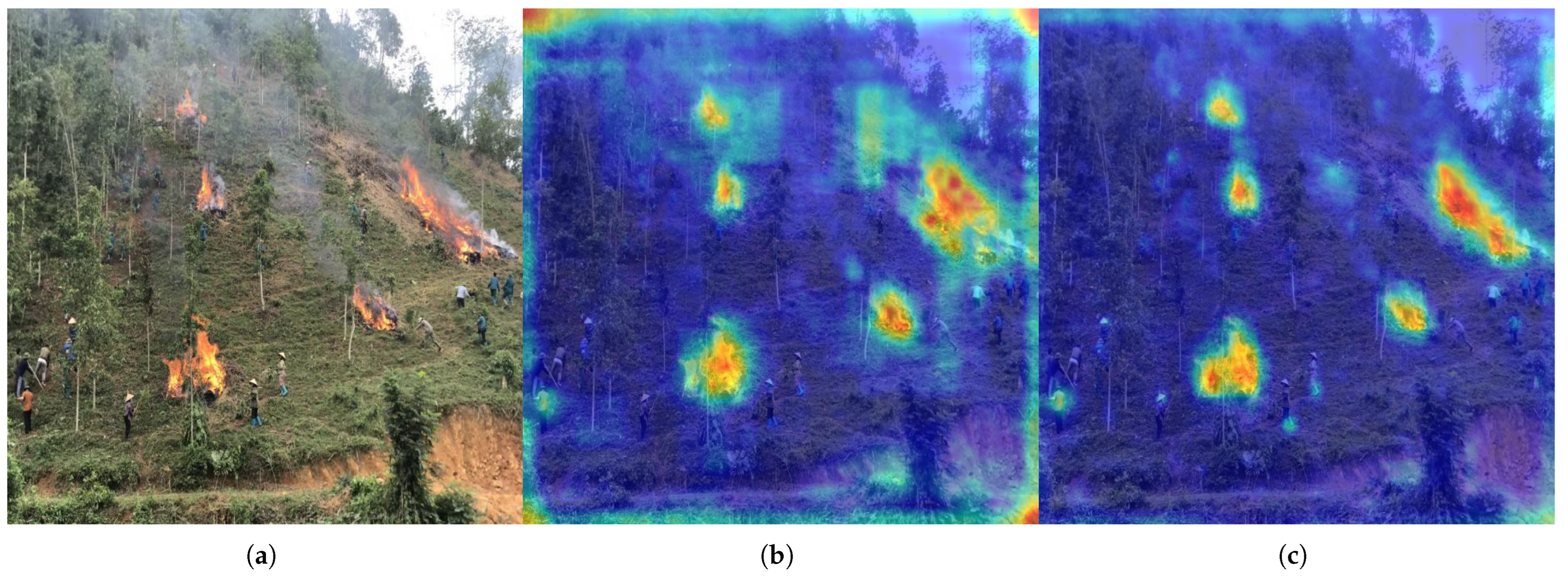 Forests 16 01368 g006