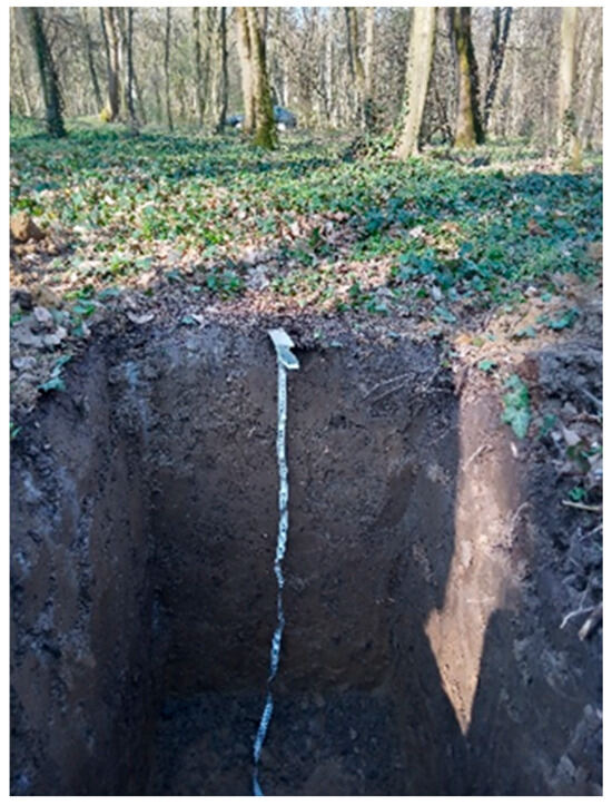 Forests 16 01369 g0a4