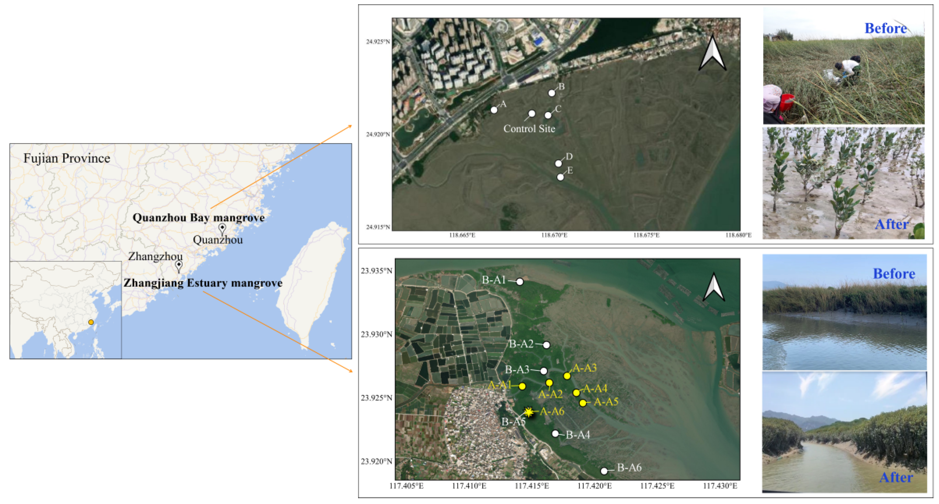 Forests 16 01378 g001