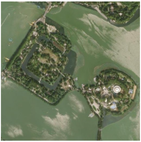 Forests 16 01381 i001