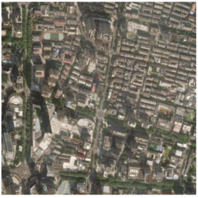 Forests 16 01381 i003