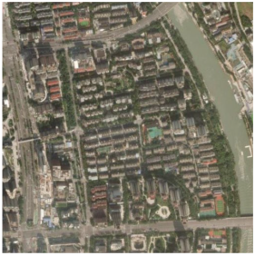 Forests 16 01381 i005