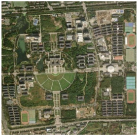 Forests 16 01381 i007