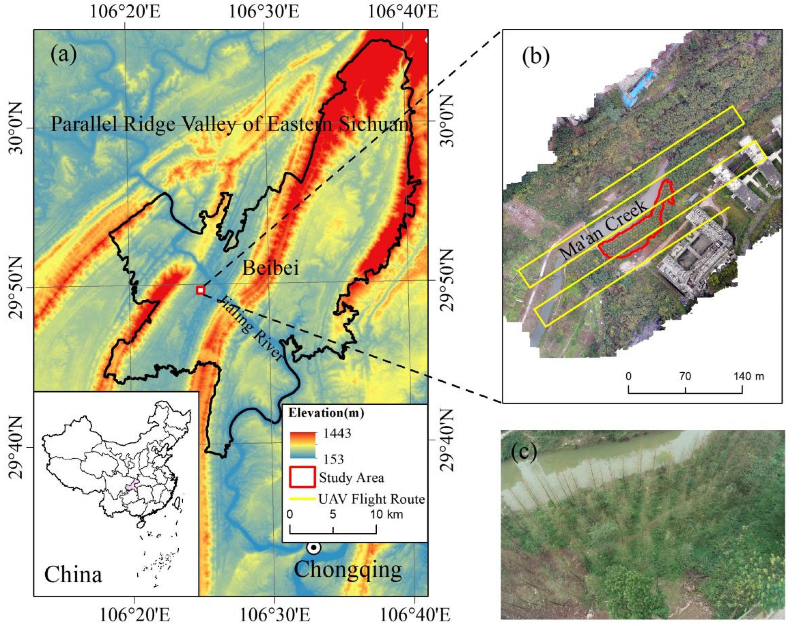 Forests 16 01384 g001 Forests 16 01384 g001