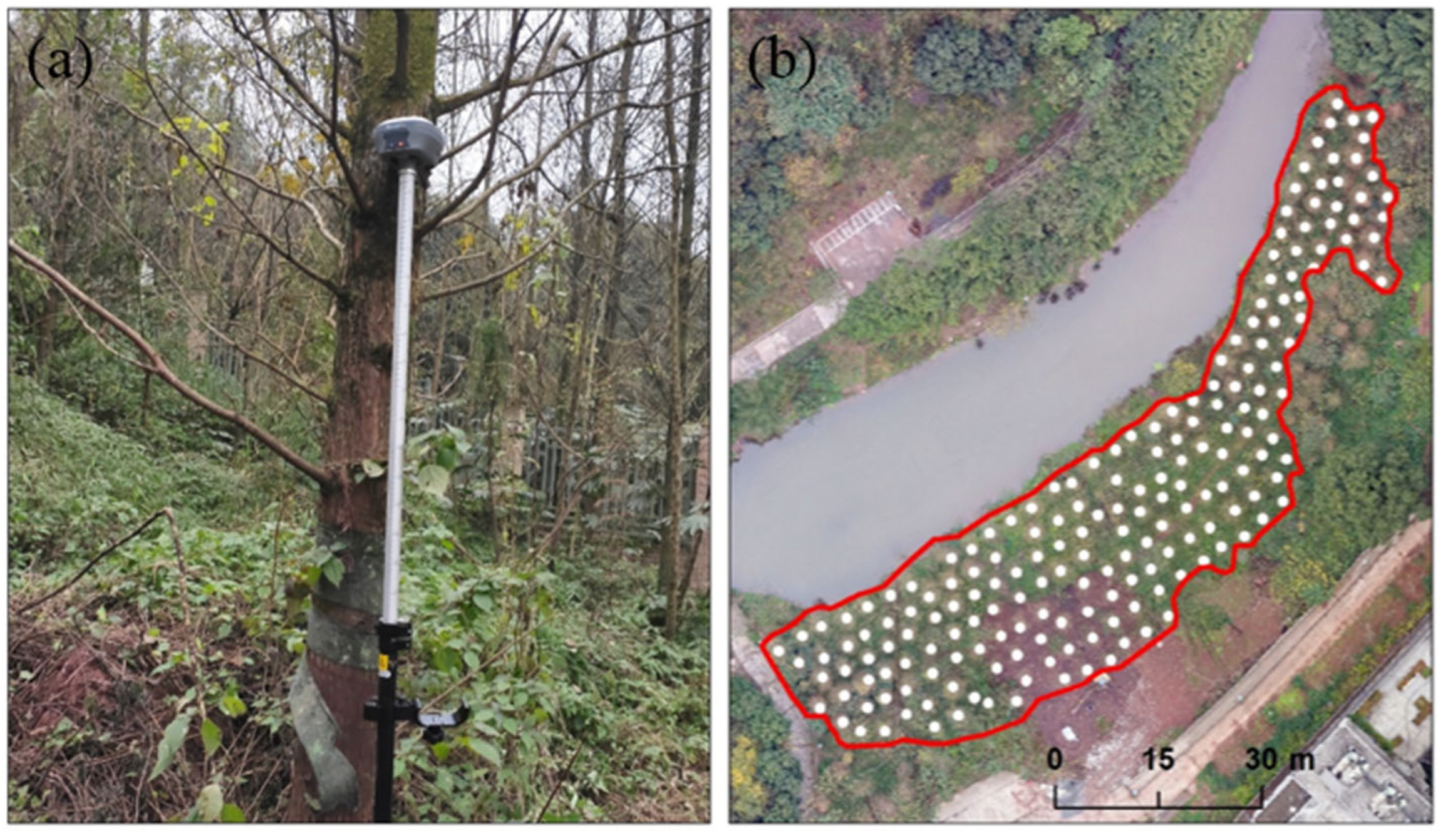 Forests 16 01384 g005 Forests 16 01384 g005