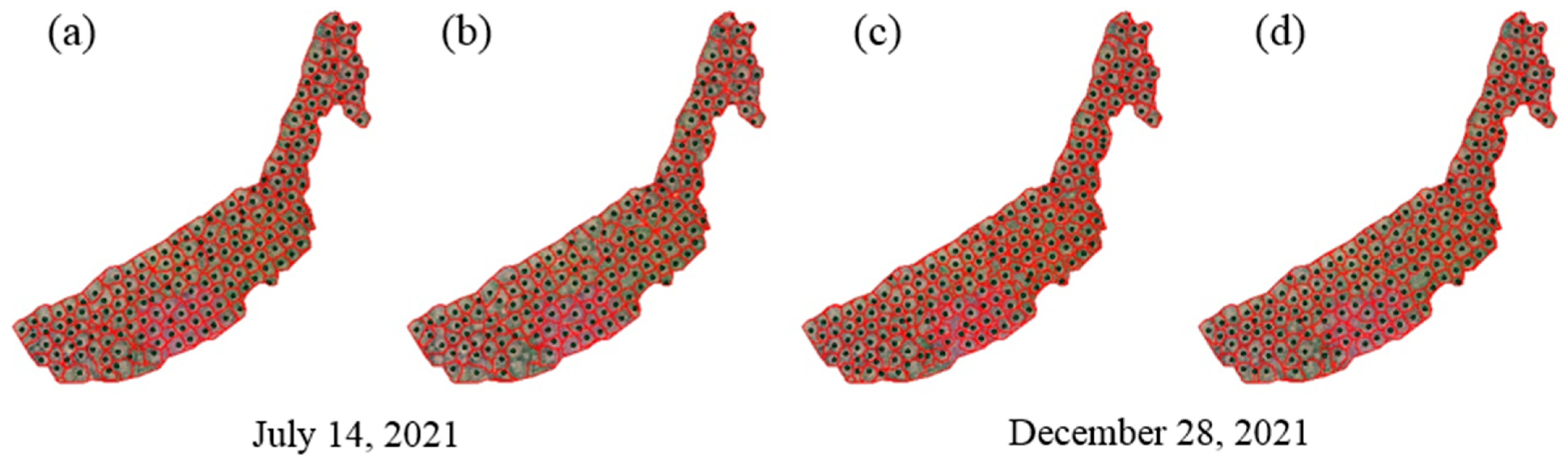 Forests 16 01384 g010 Forests 16 01384 g010
