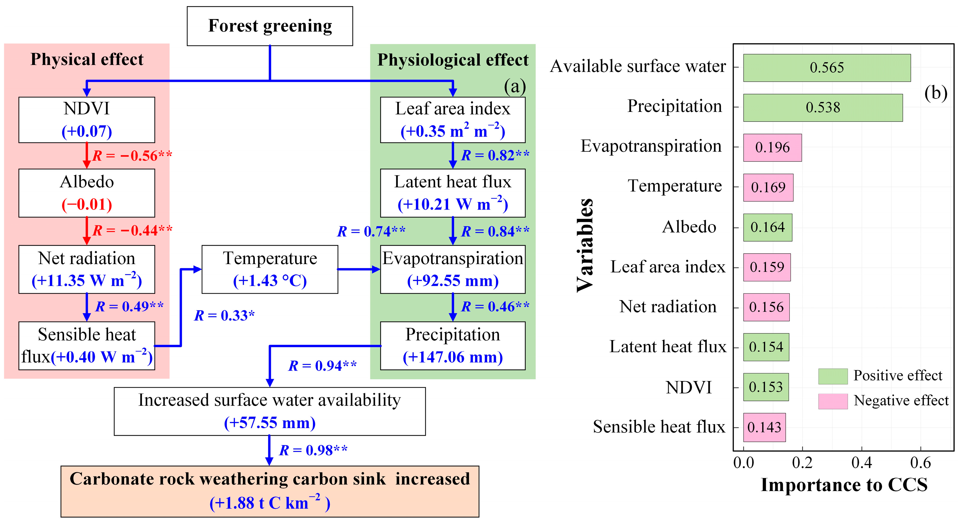 Forests 16 01391 g007