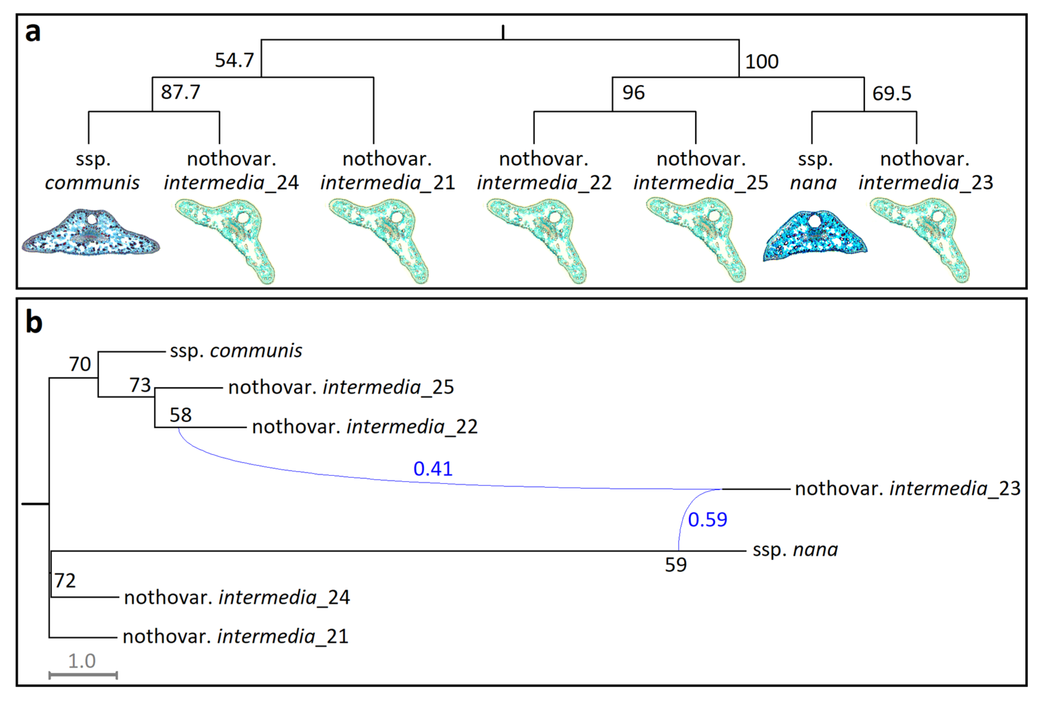 Forests 16 01406 g005 Forests 16 01406 g005