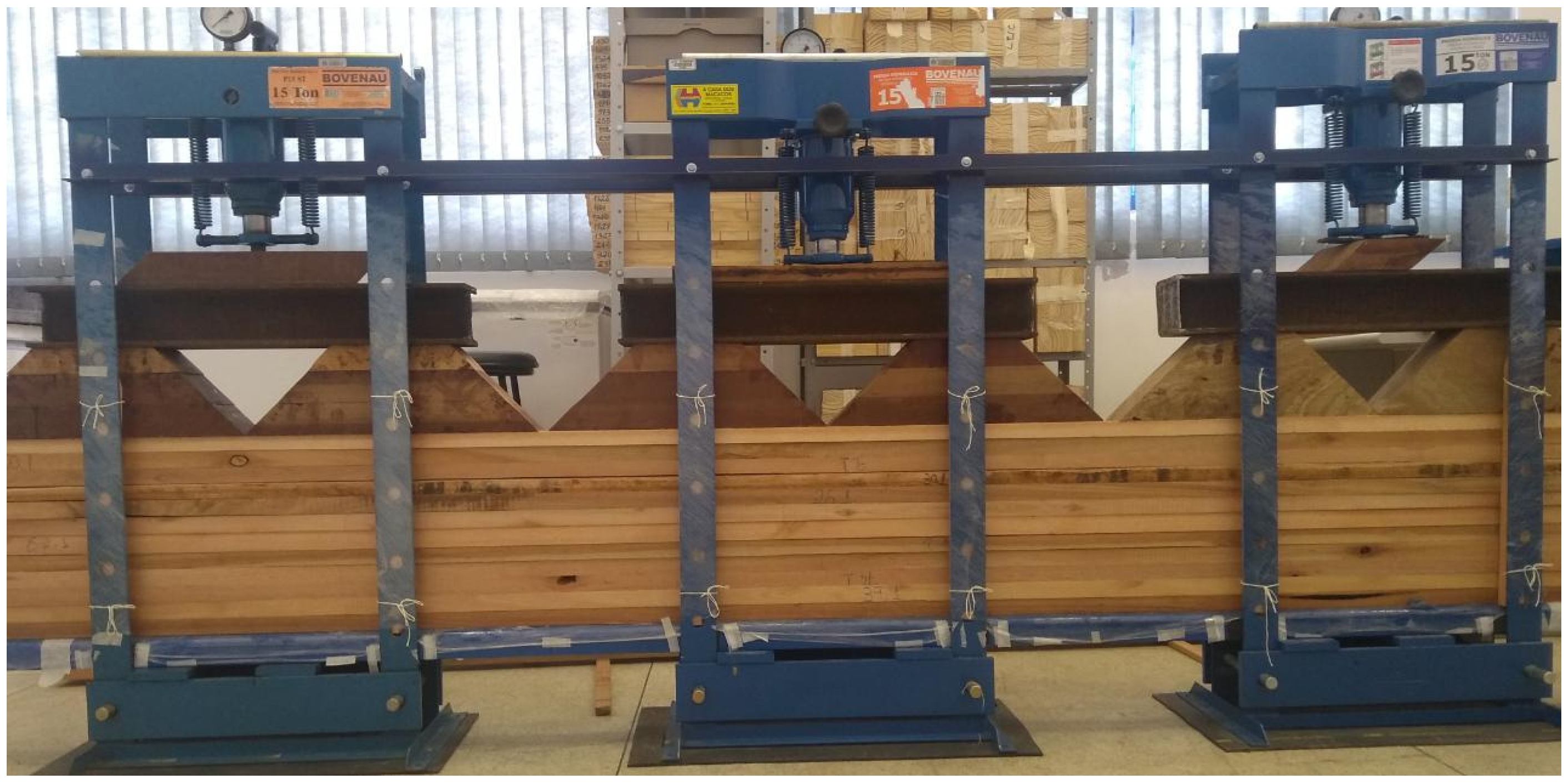 Forests 16 01421 g001