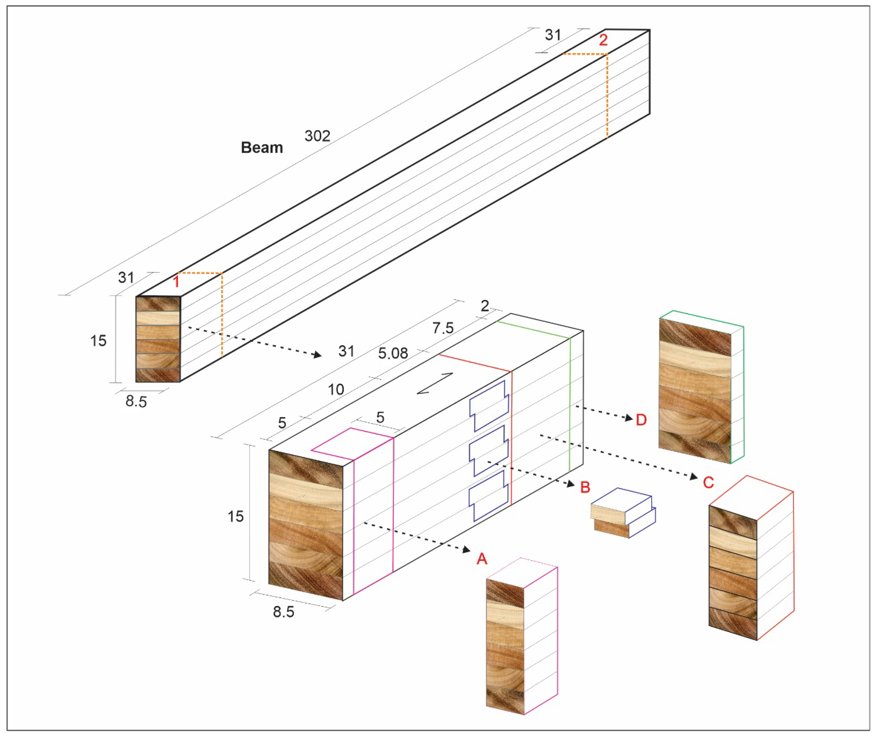 Forests 16 01421 g002