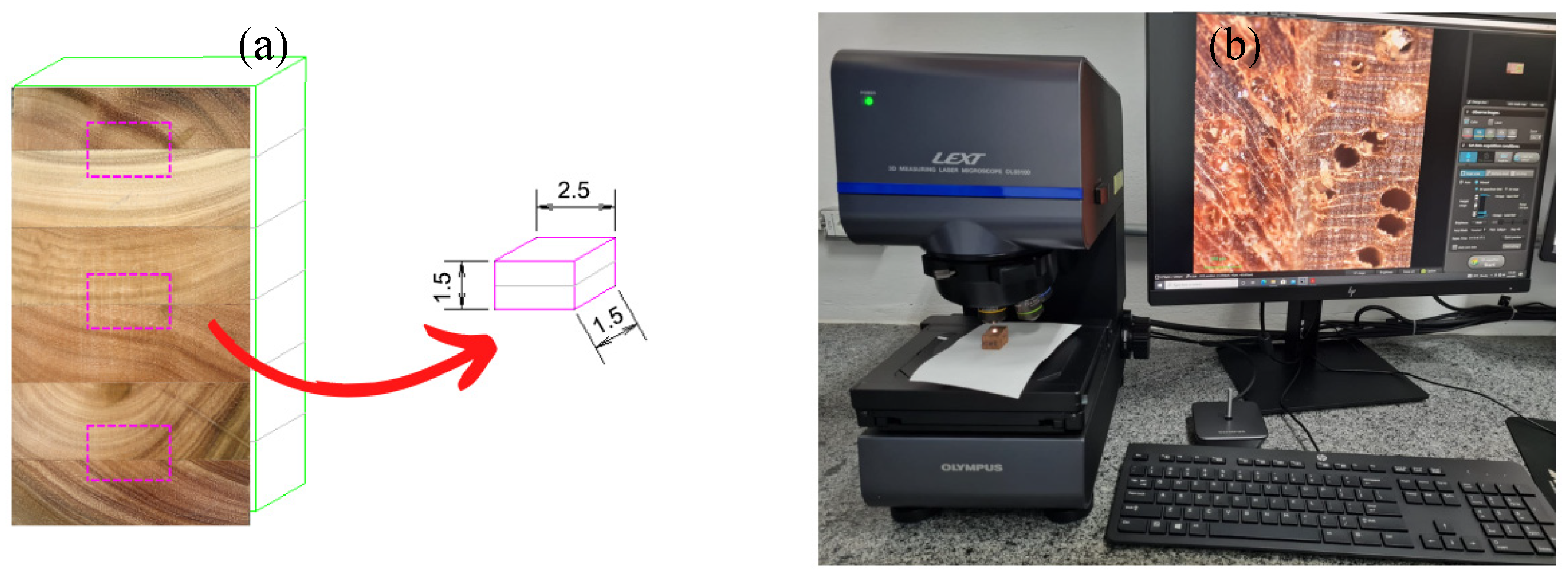 Forests 16 01421 g003