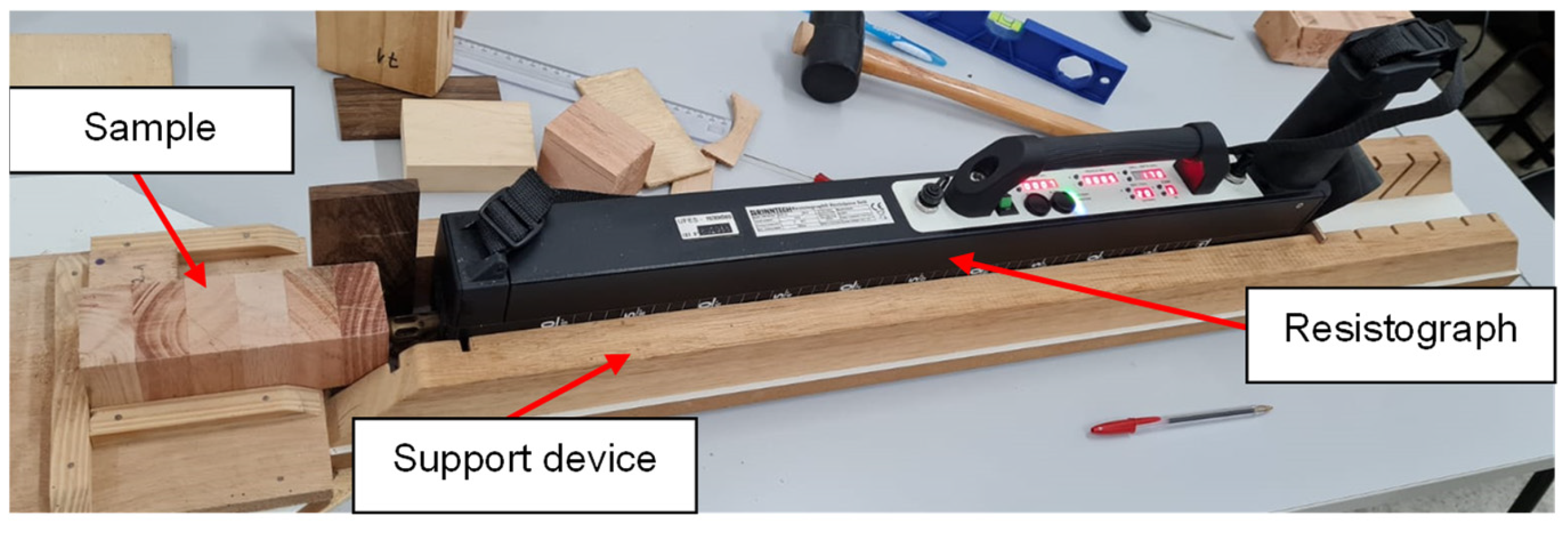 Forests 16 01421 g005