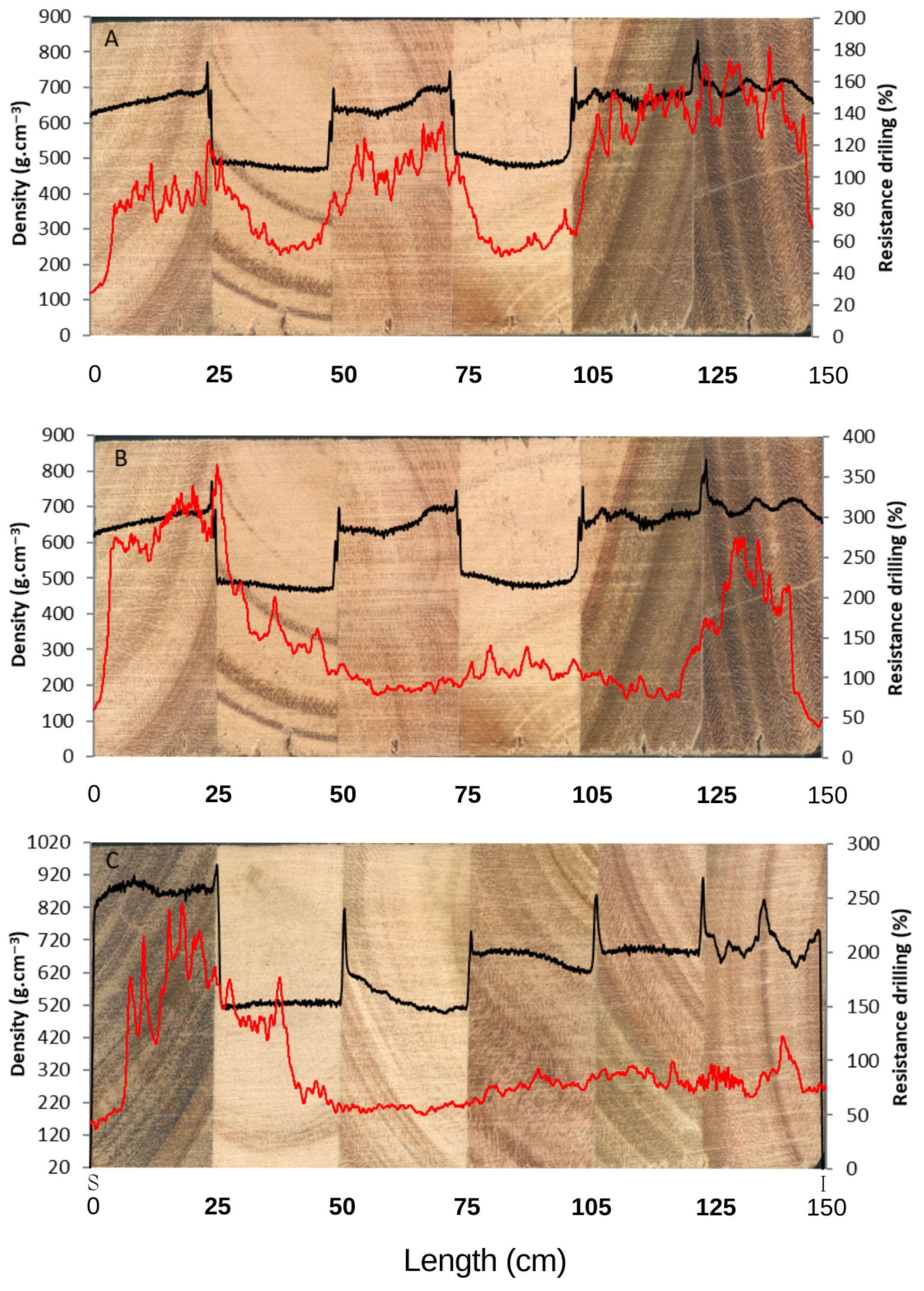 Forests 16 01421 g007