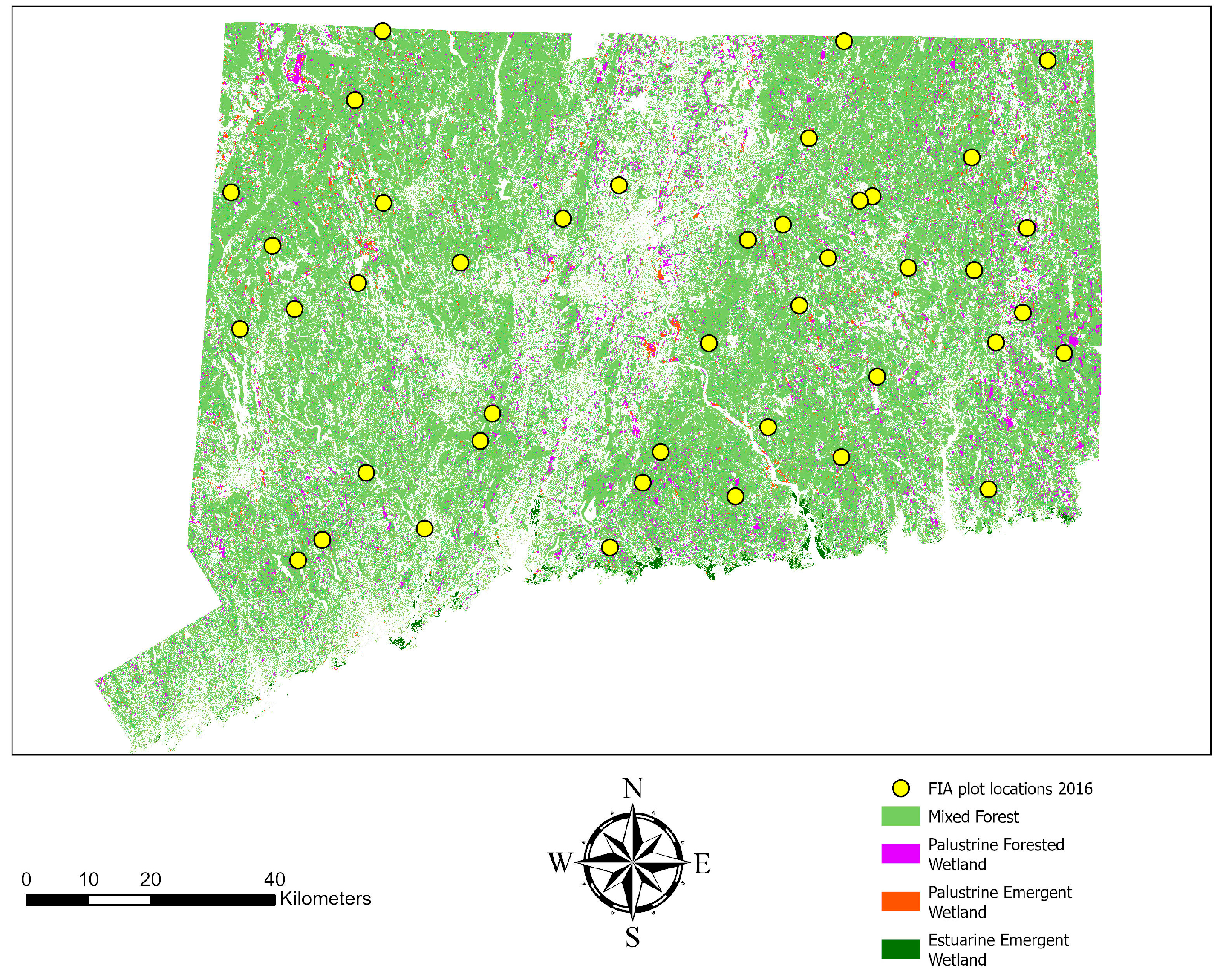 Forests 16 01430 g001 Forests 16 01430 g001