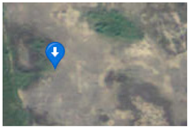 Forests 16 01432 i001 Forests 16 01432 i001