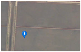 Forests 16 01432 i004 Forests 16 01432 i004