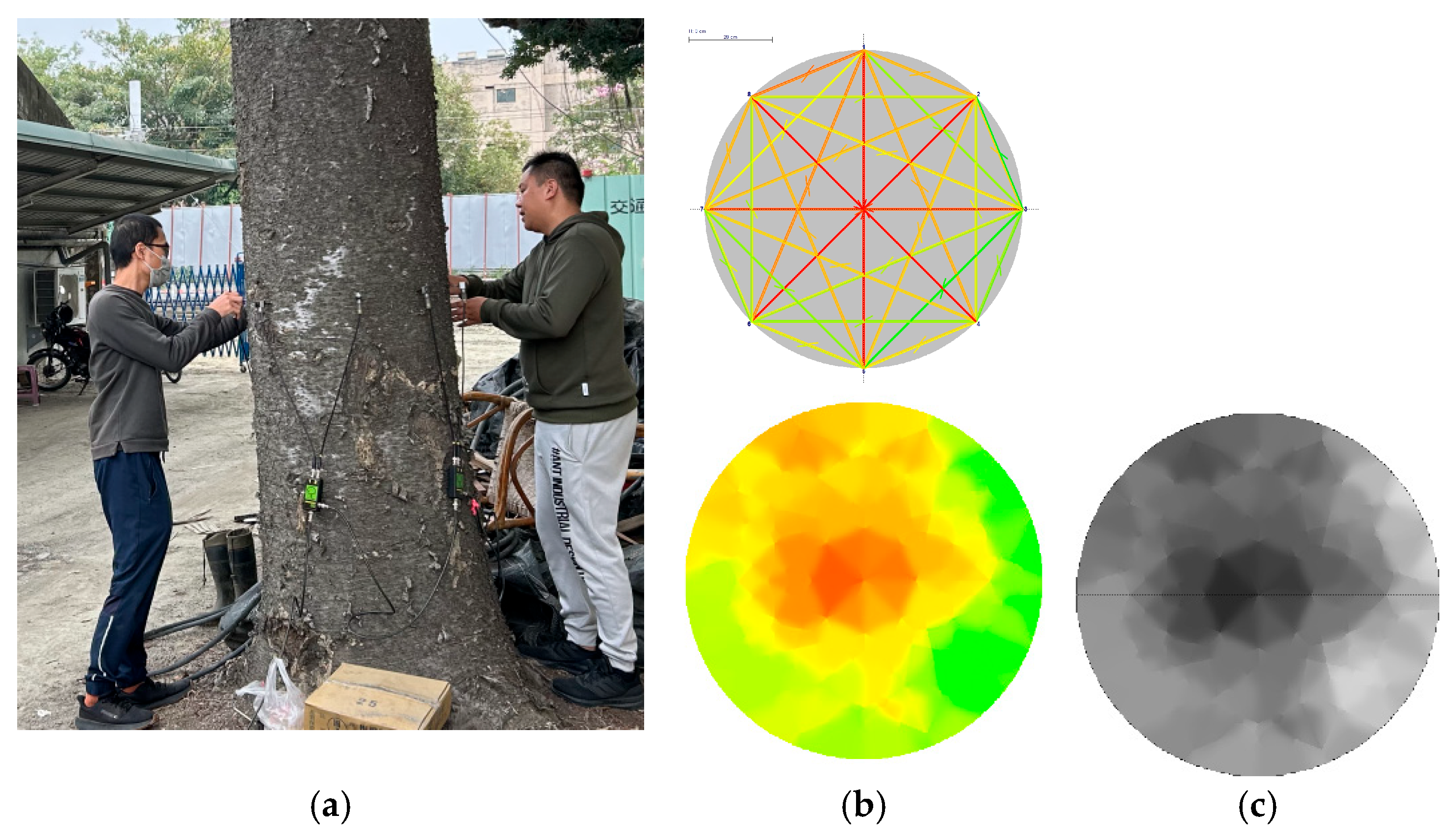 Forests 16 01439 g001a