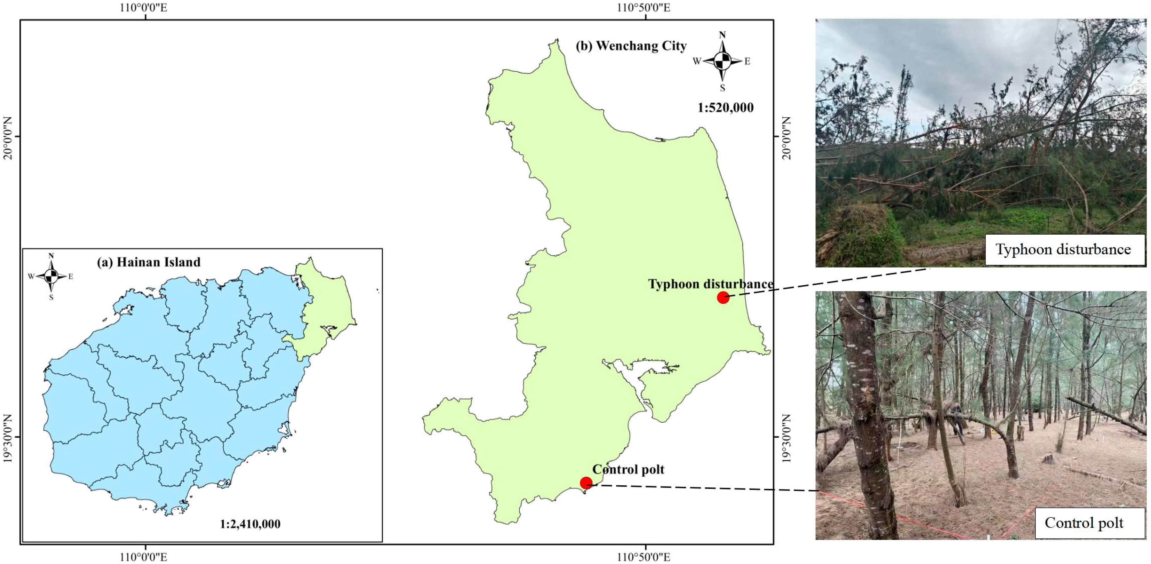 Forests 16 01451 g001