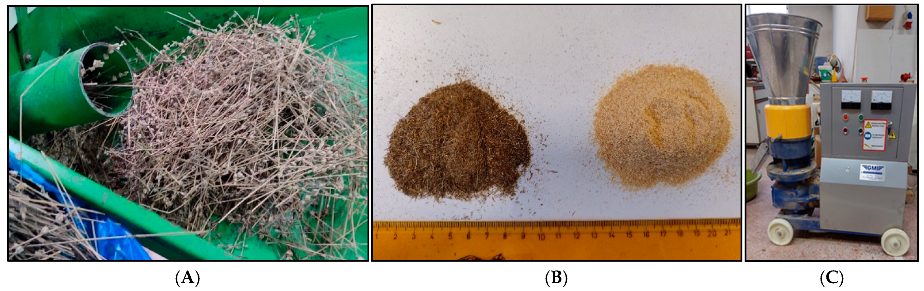 Forests 16 01455 g001 Forests 16 01455 g001