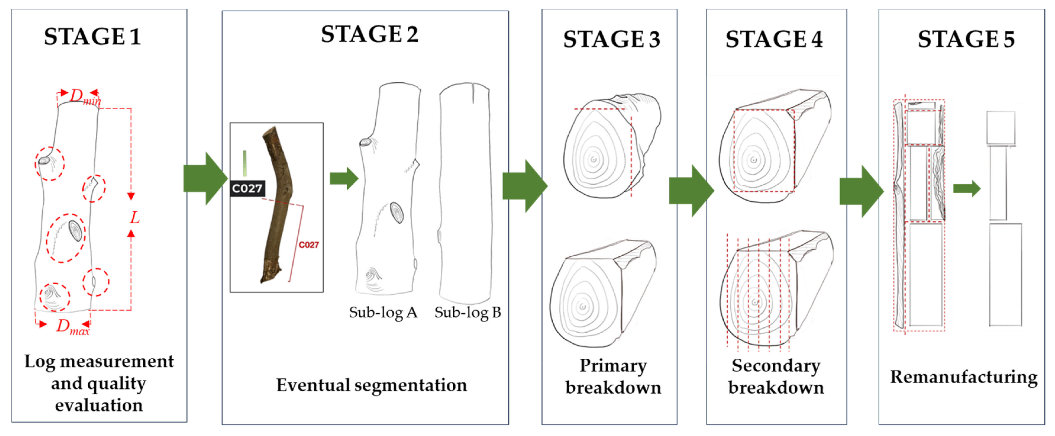 Forests 16 01456 g003