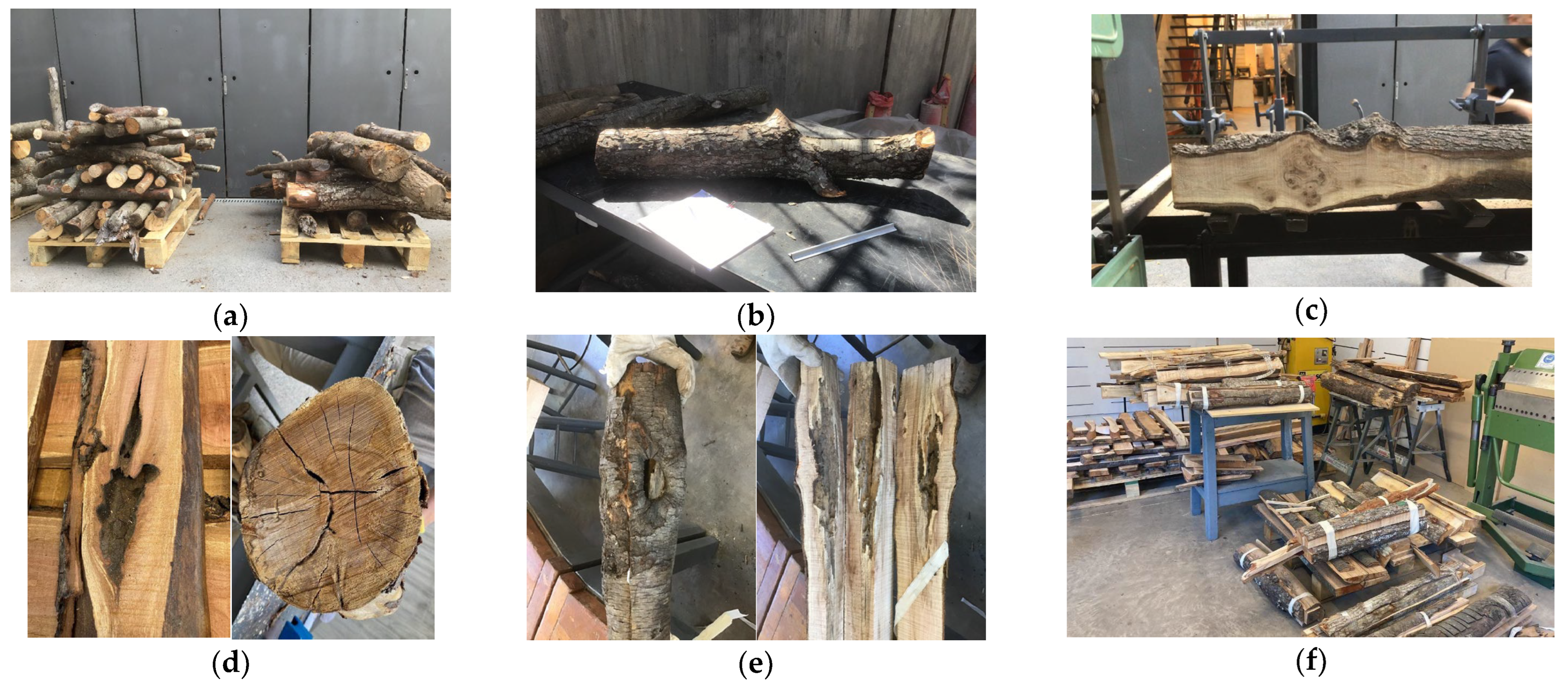 Forests 16 01456 g004