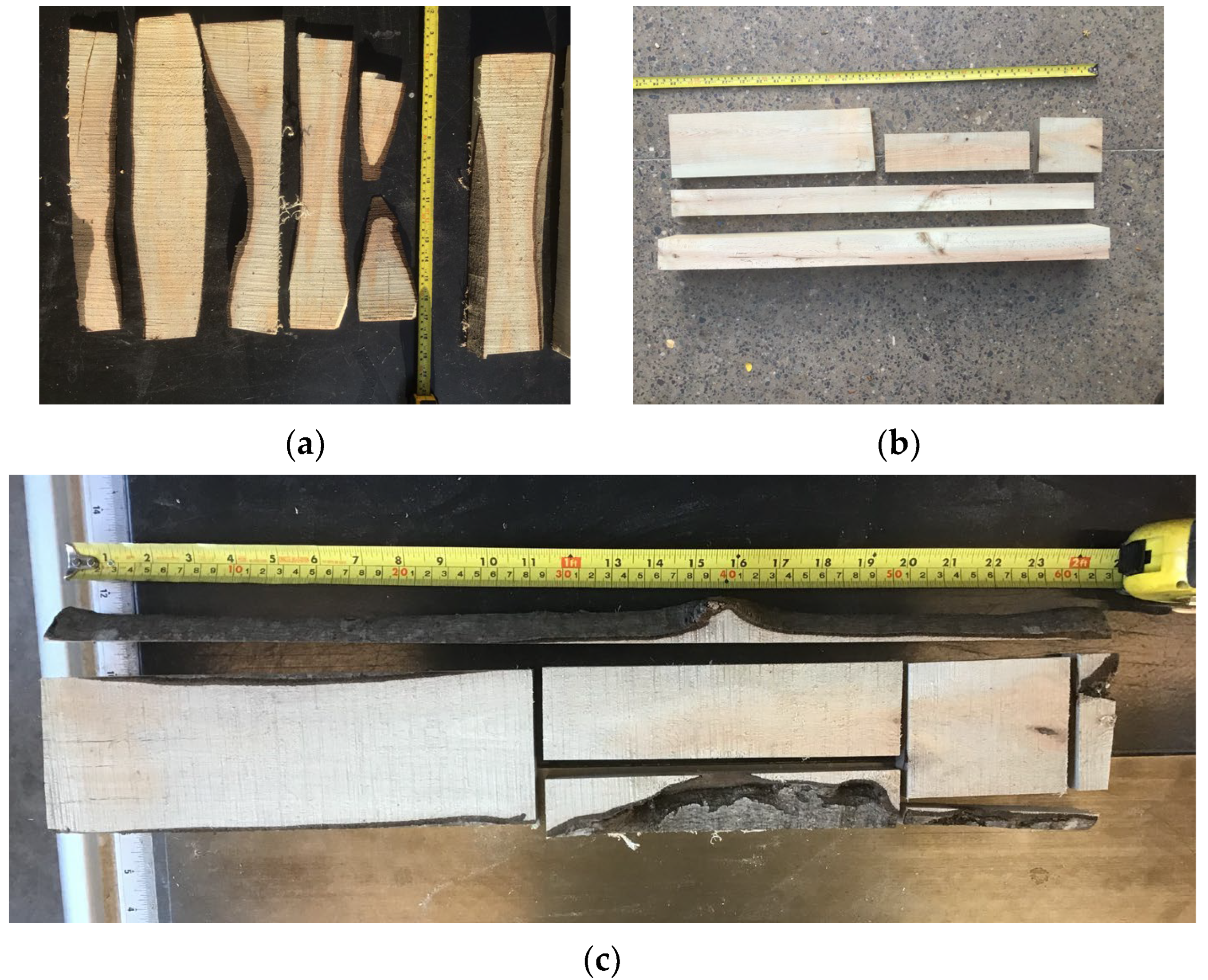 Forests 16 01456 g005