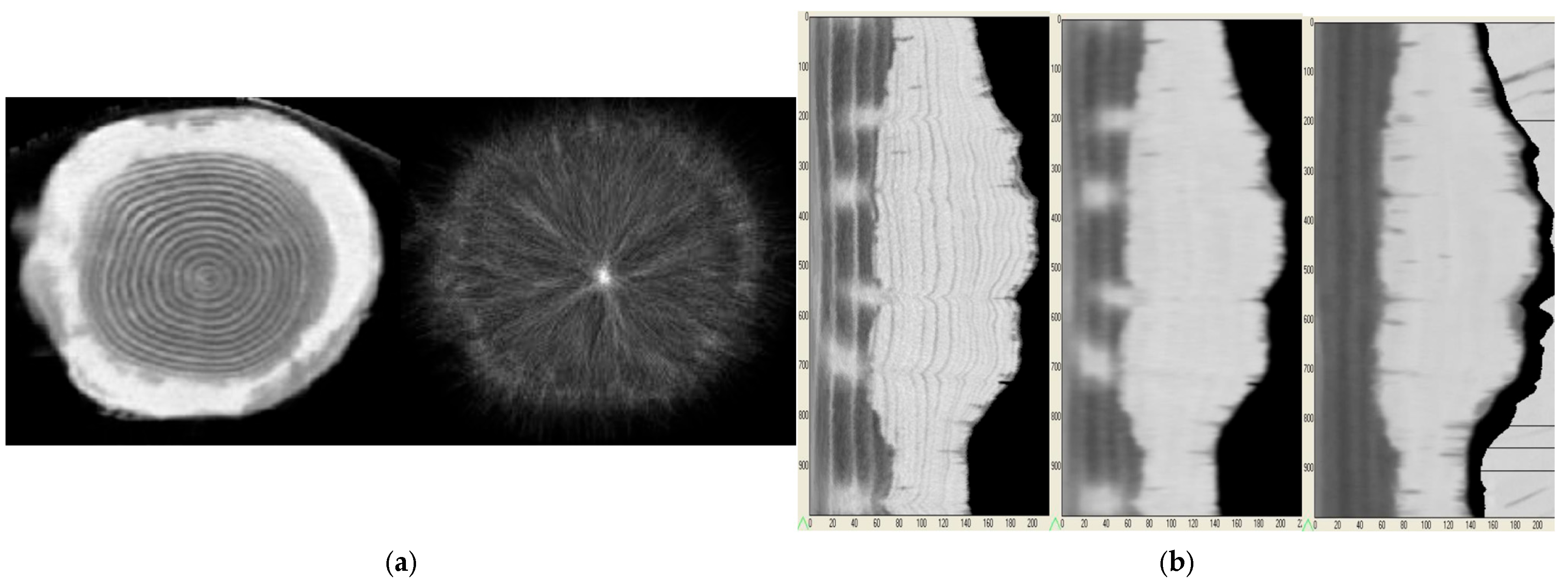 Forests 16 01457 g001