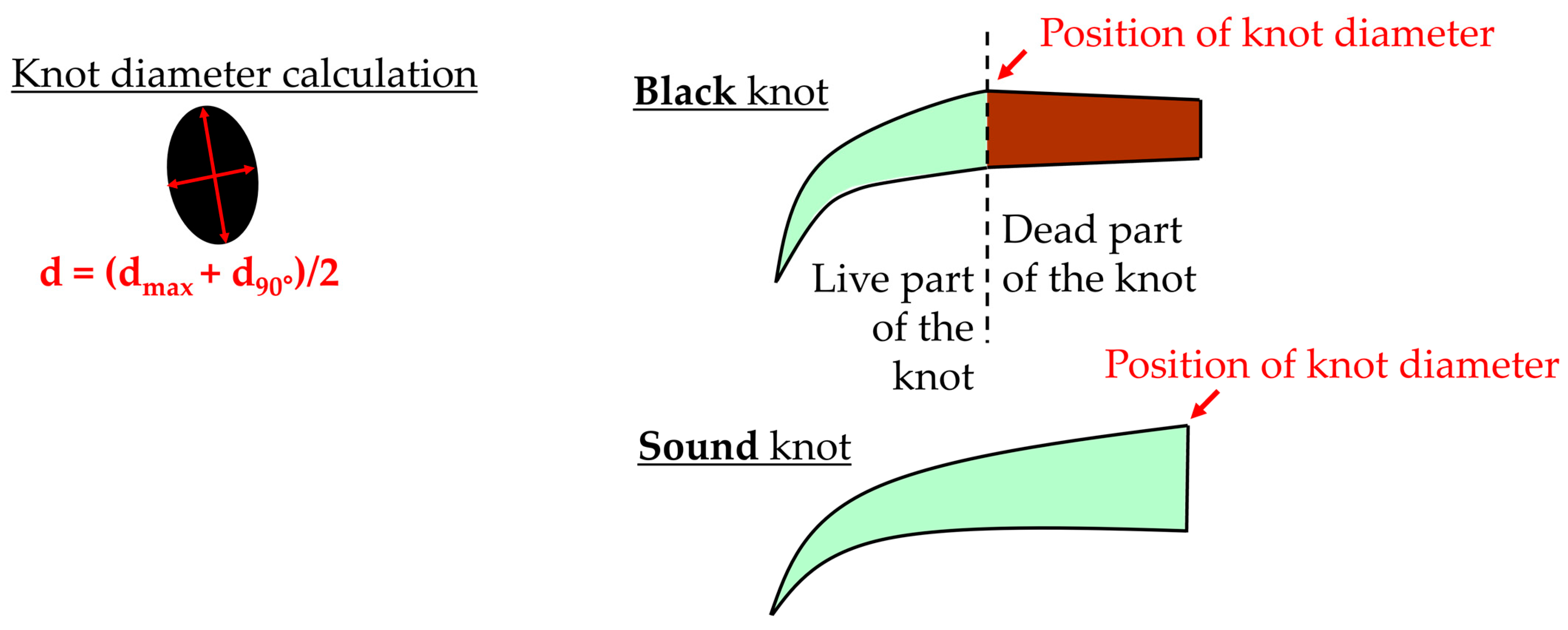 Forests 16 01457 g004
