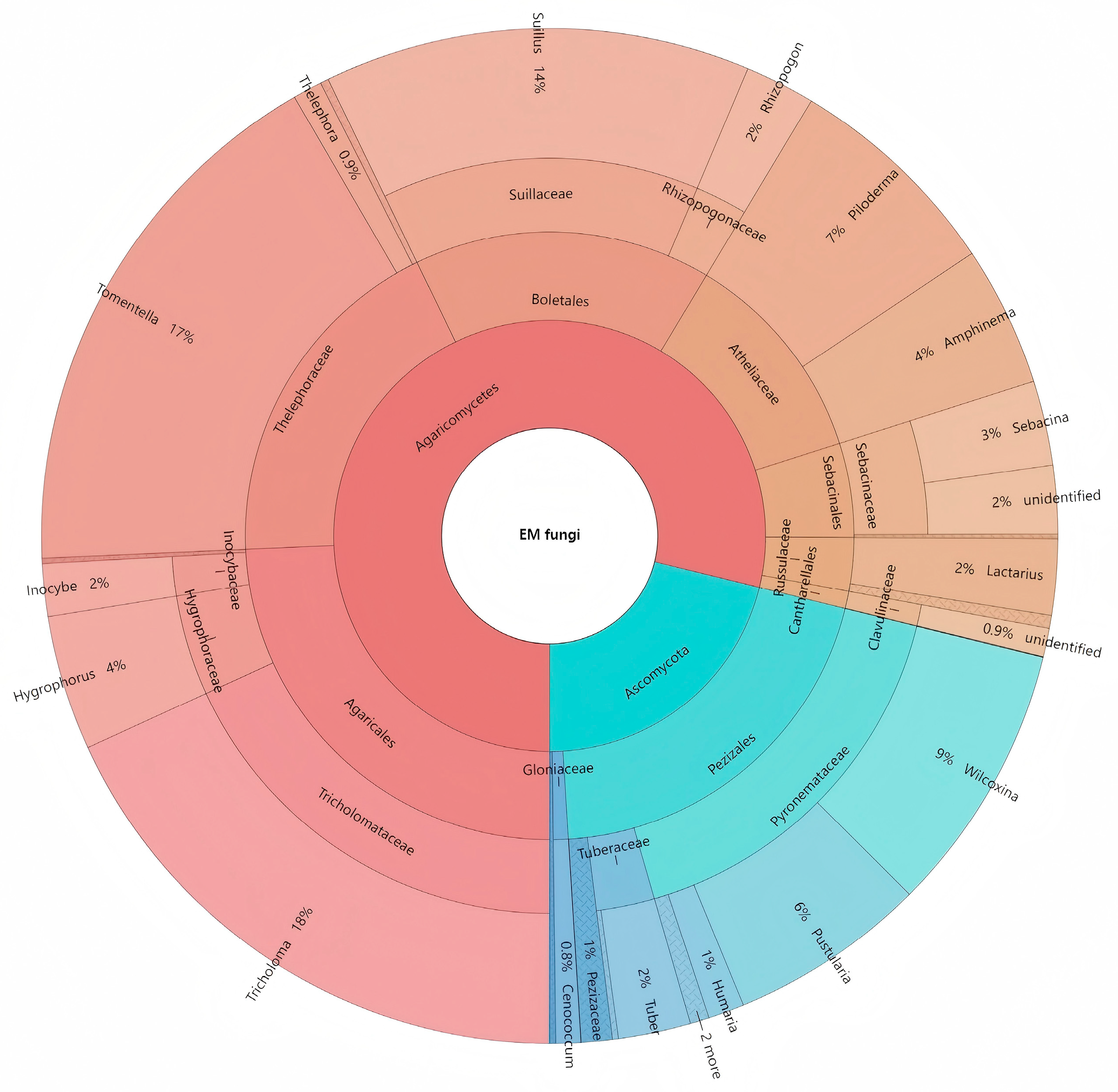 Forests 16 01459 g001