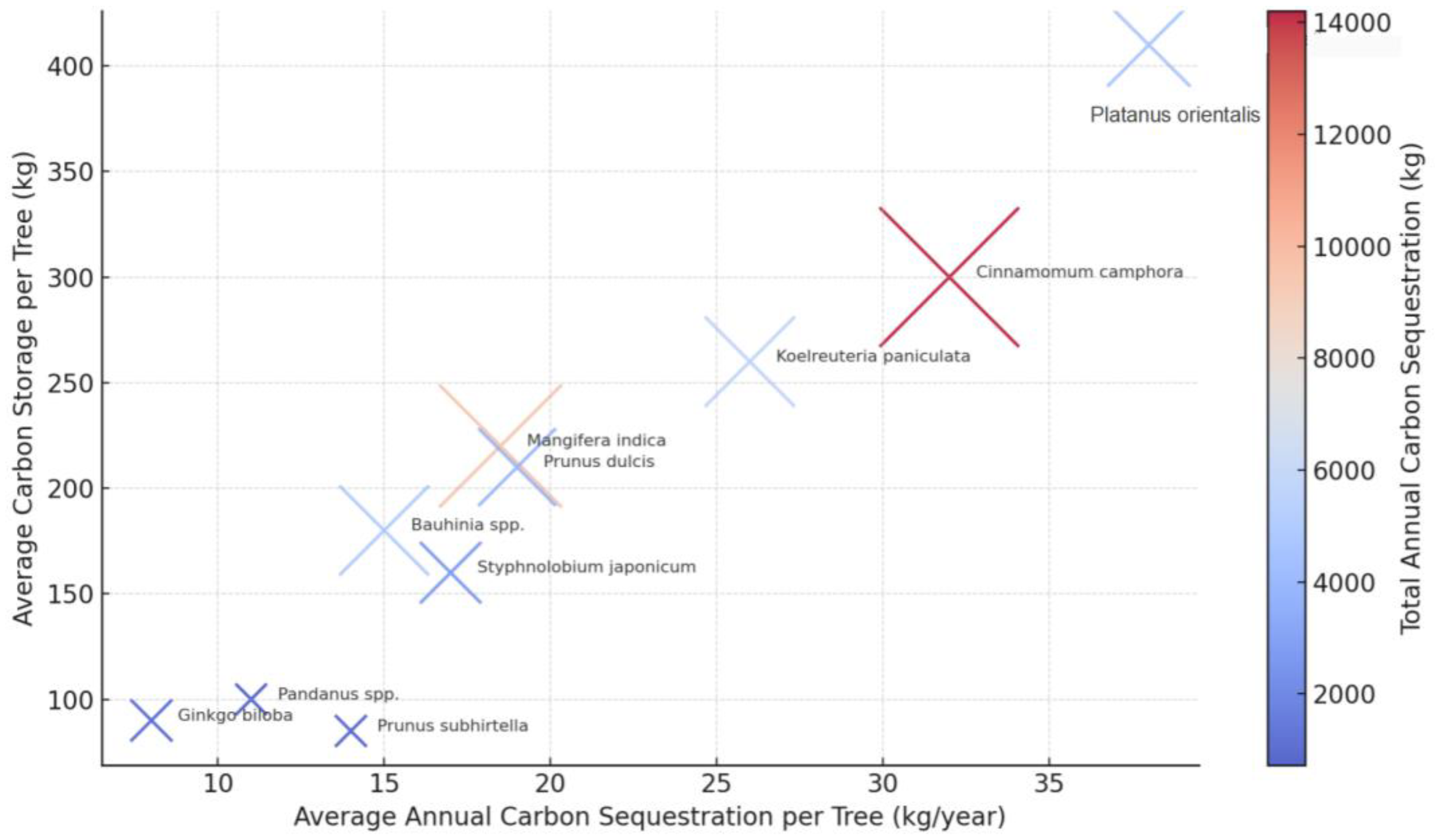 Forests 16 01465 g004