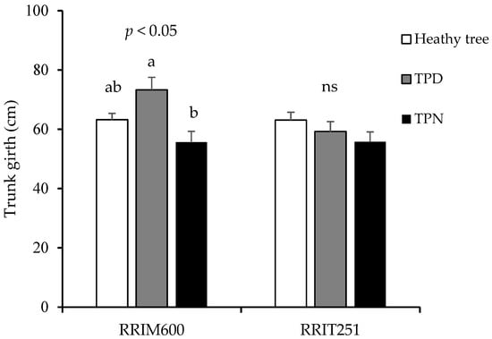 Forests 16 01477 g003