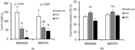 Forests 16 01477 g004