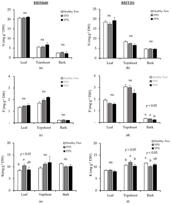 Forests 16 01477 g005