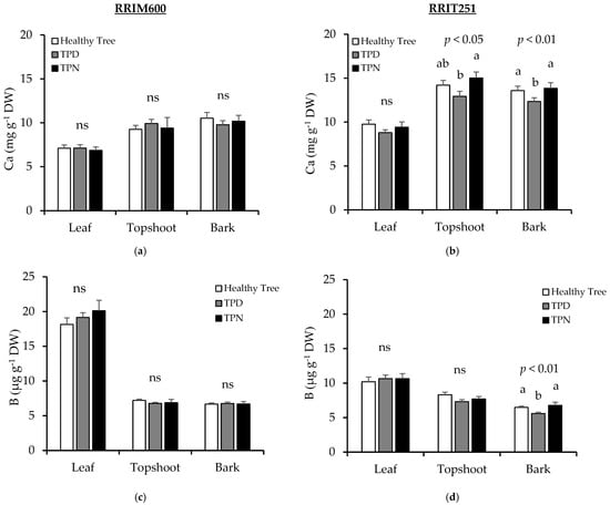 Forests 16 01477 g006