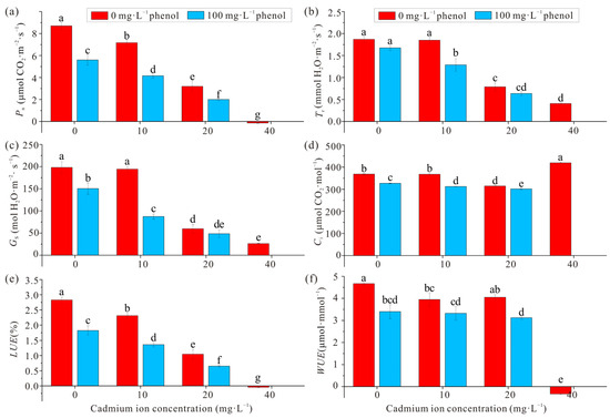 Forests 16 01531 g001