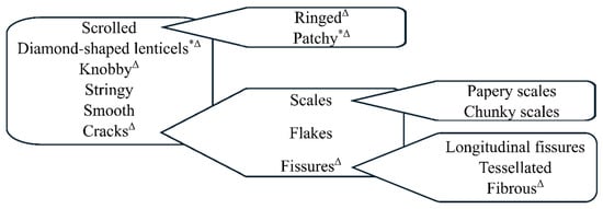 Forests 16 01586 g001