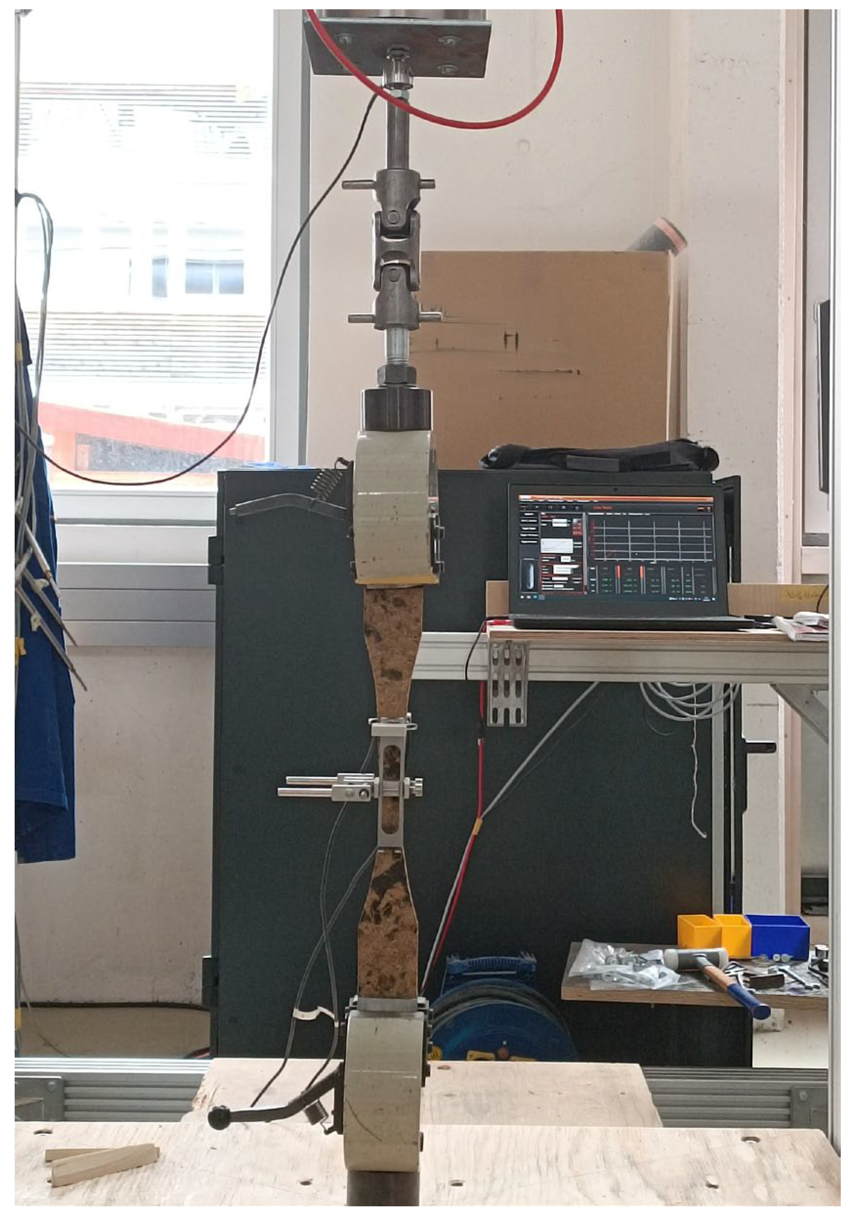 Forests 16 01597 g008