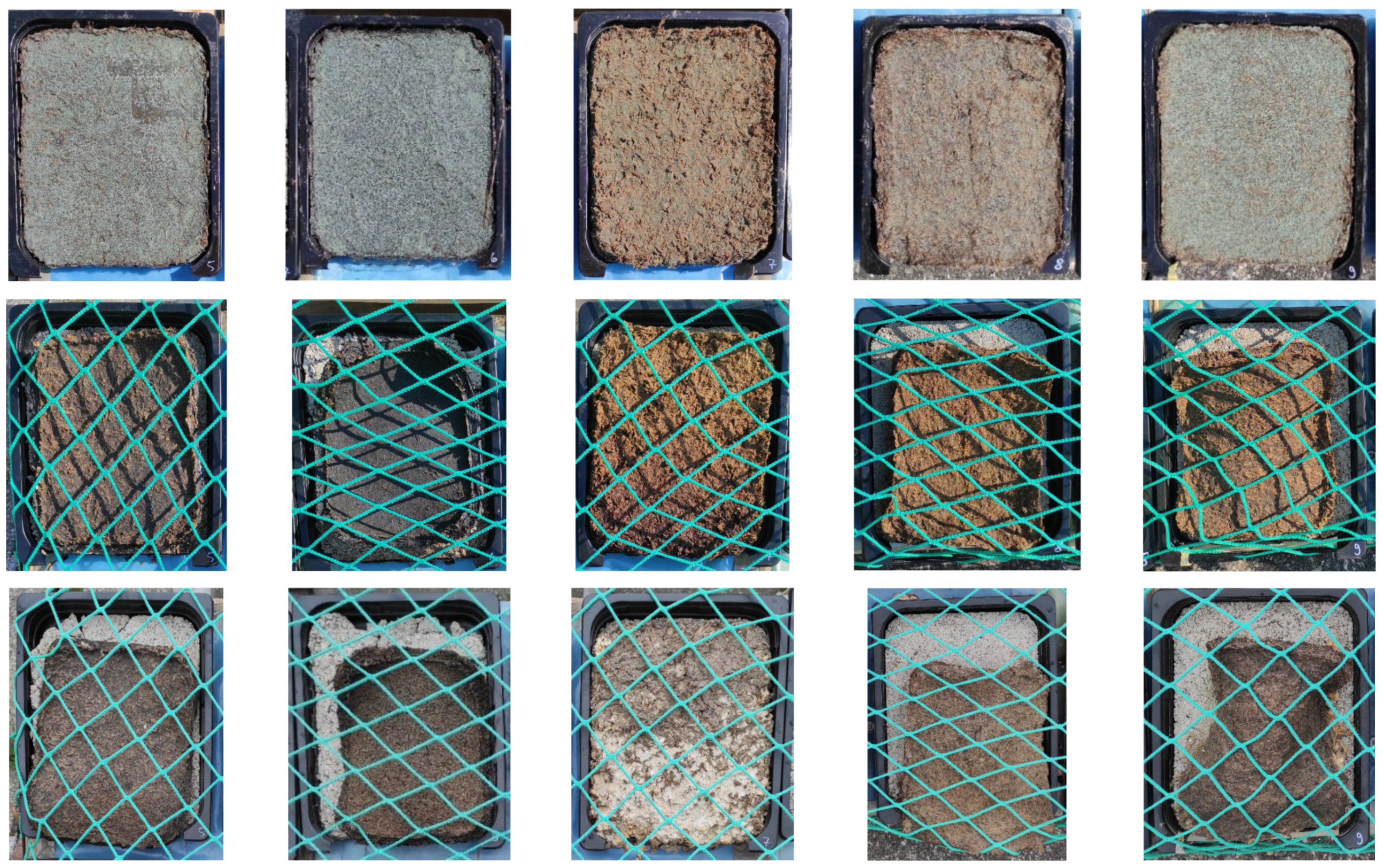 Forests 16 01597 g020