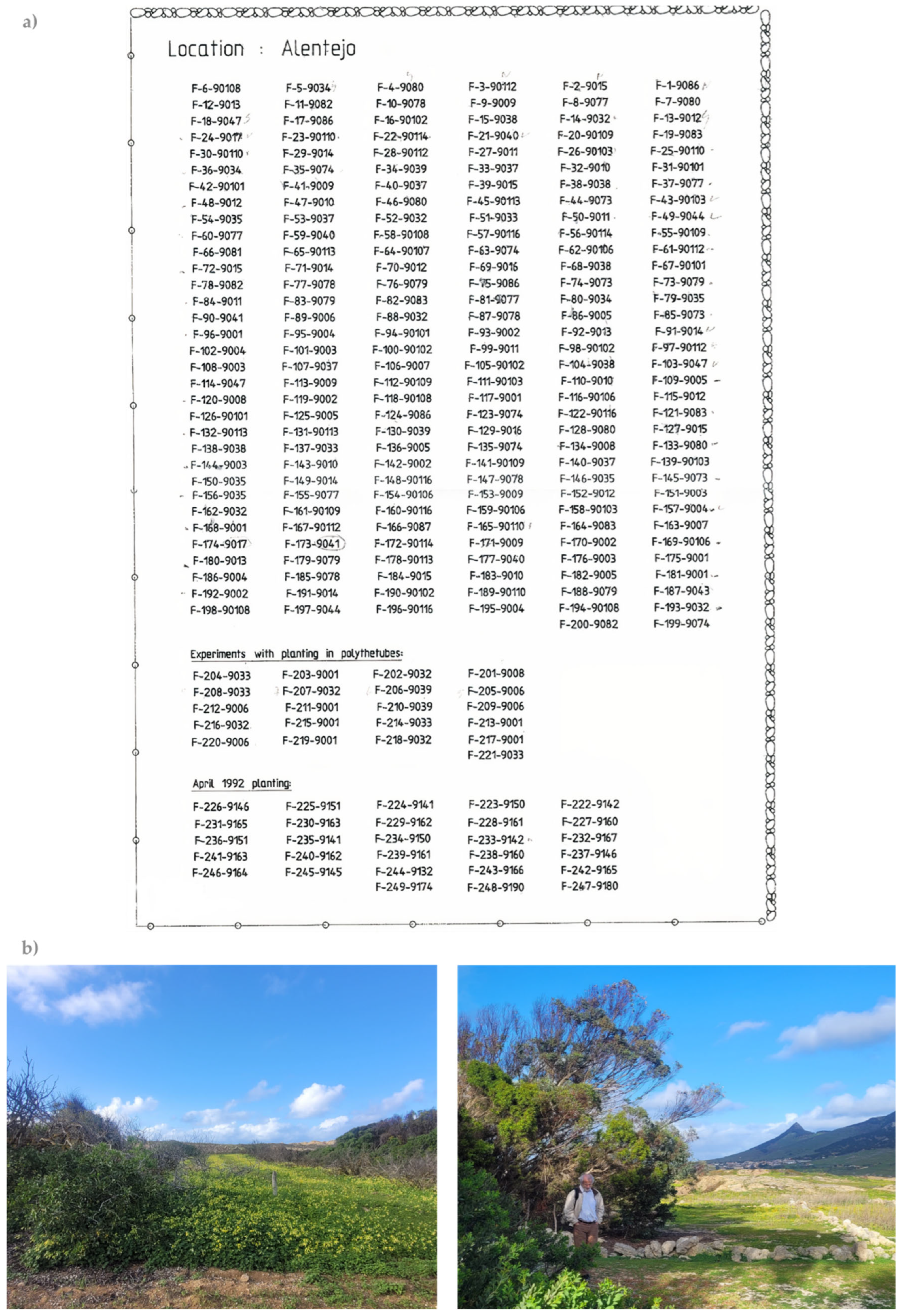 Forests 16 01605 g004 Forests 16 01605 g004