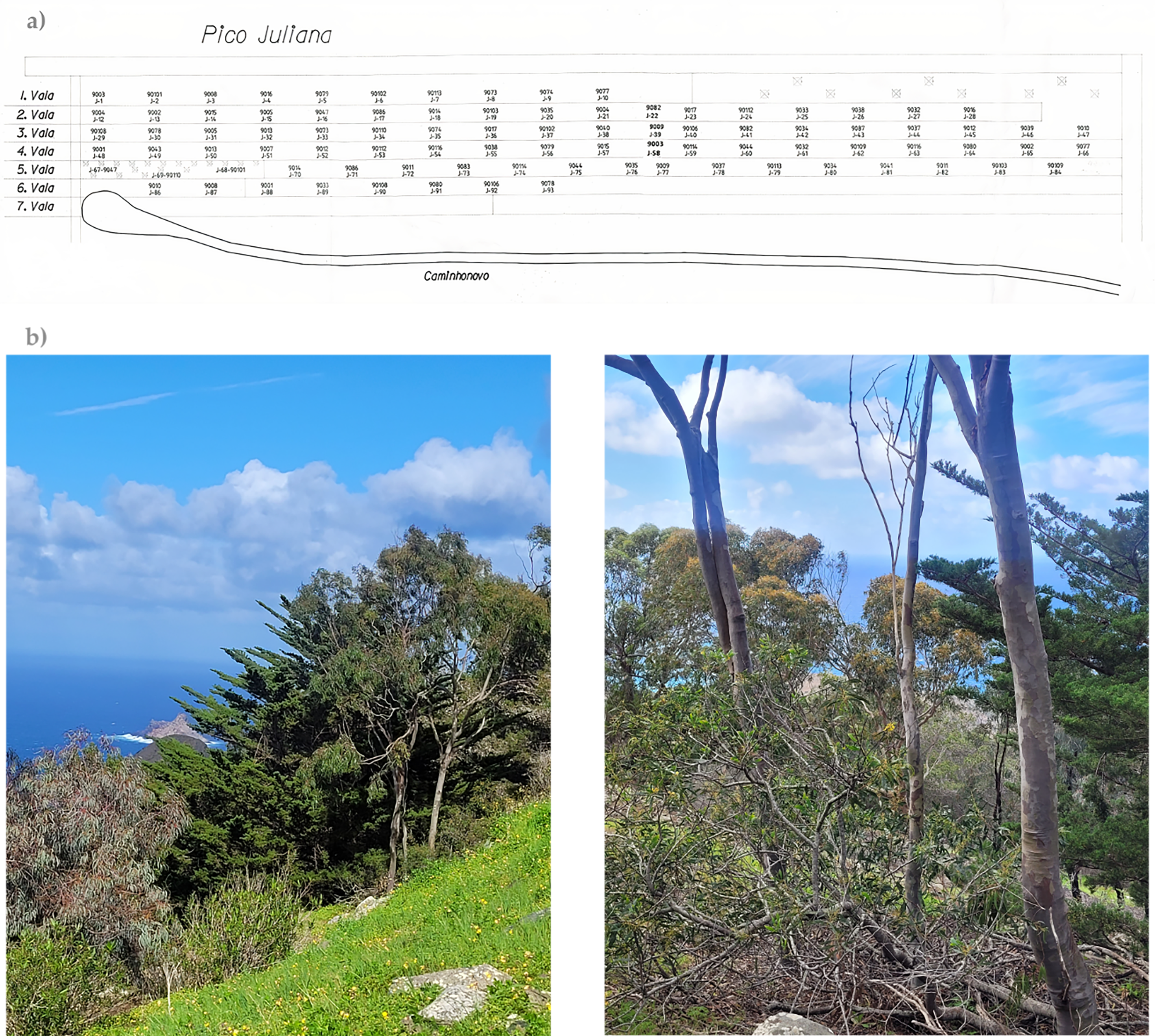 Forests 16 01605 g005 Forests 16 01605 g005