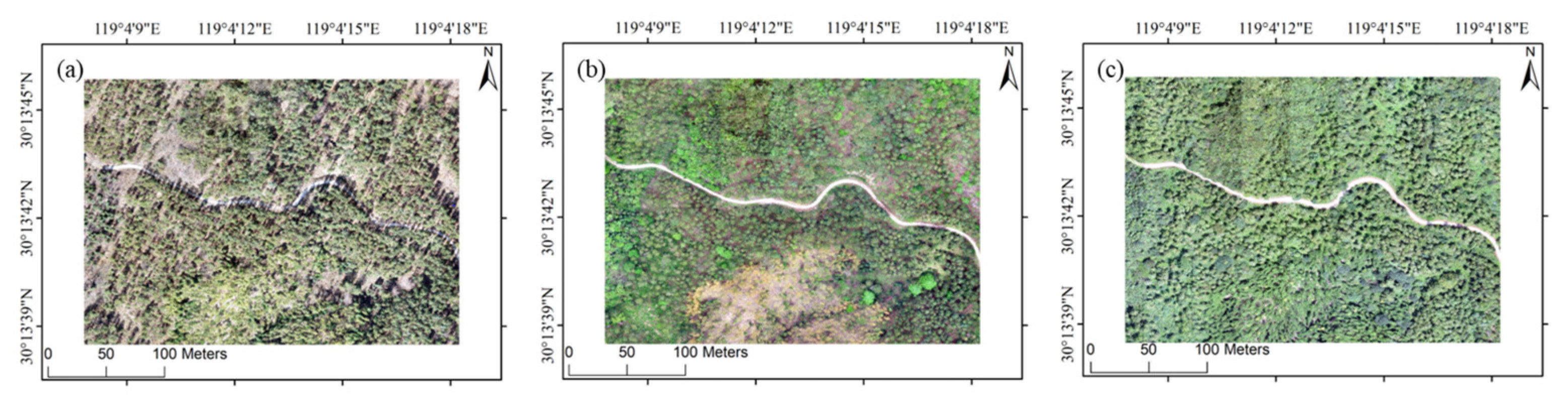 Forests 16 01614 g003 Forests 16 01614 g003