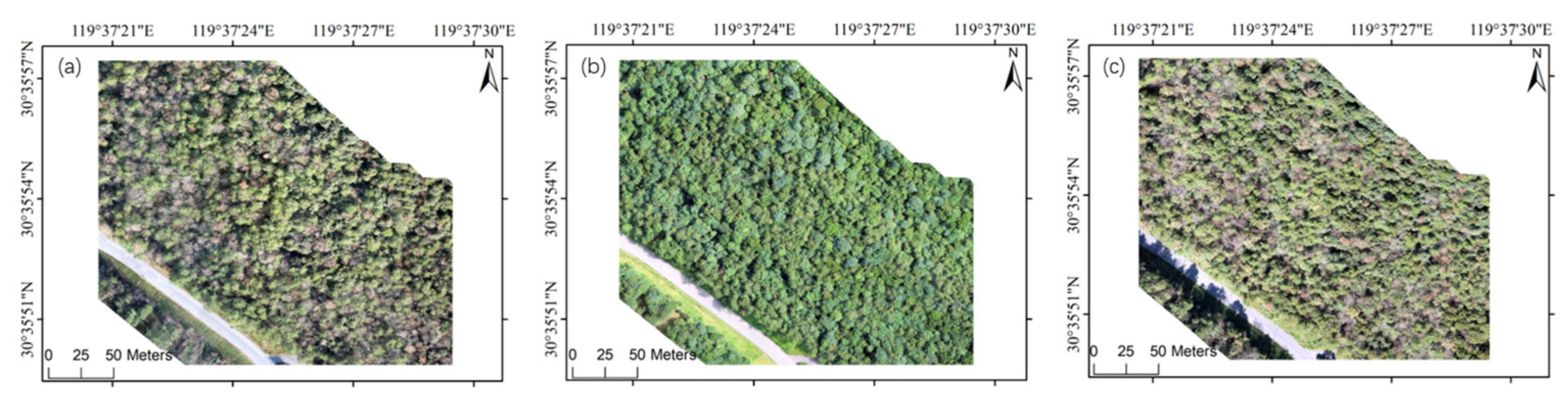 Forests 16 01614 g004 Forests 16 01614 g004