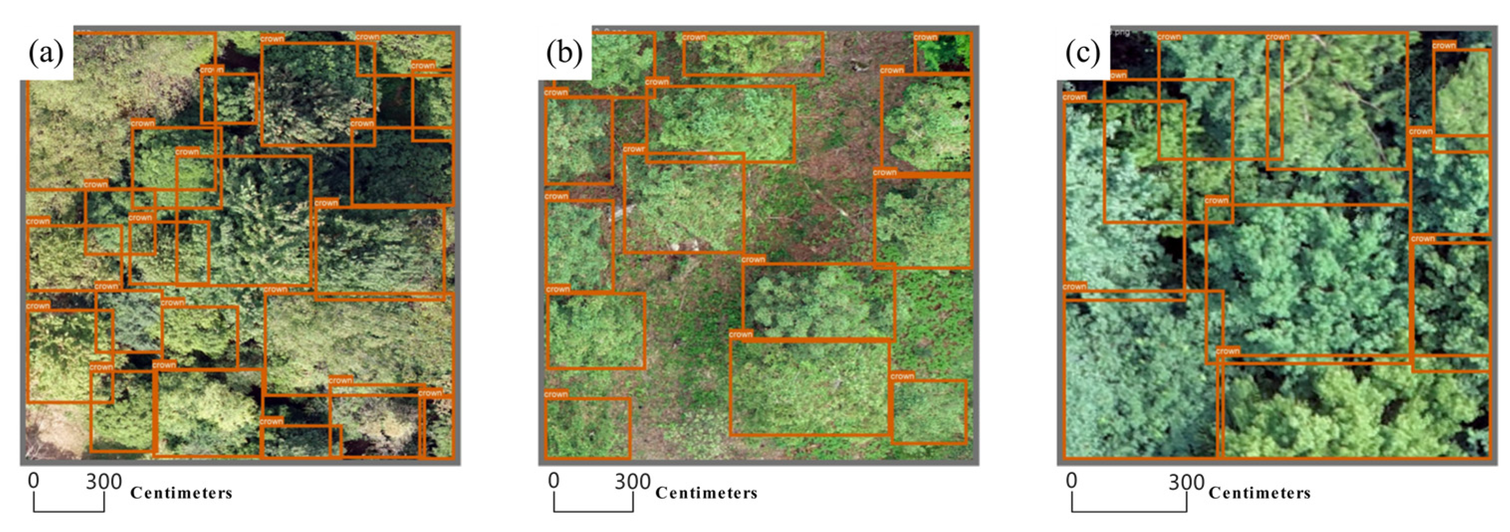 Forests 16 01614 g005 Forests 16 01614 g005
