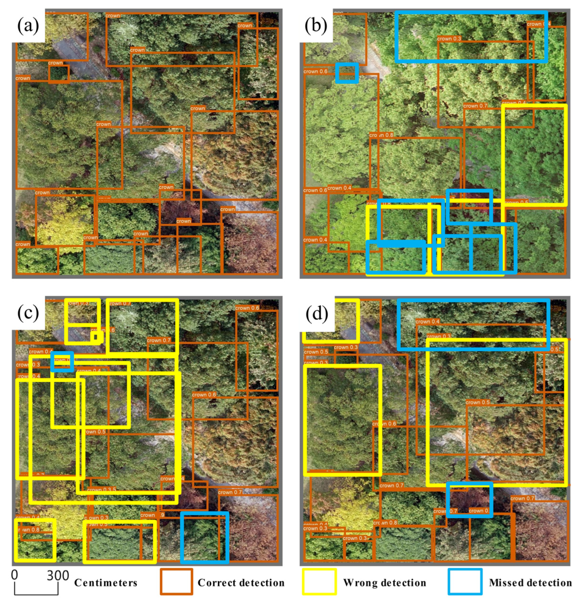 Forests 16 01614 g009 Forests 16 01614 g009