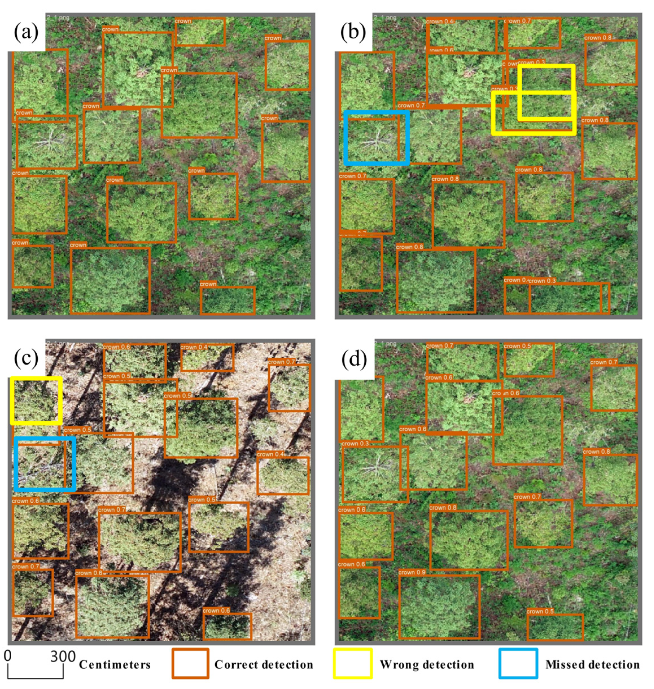Forests 16 01614 g010 Forests 16 01614 g010