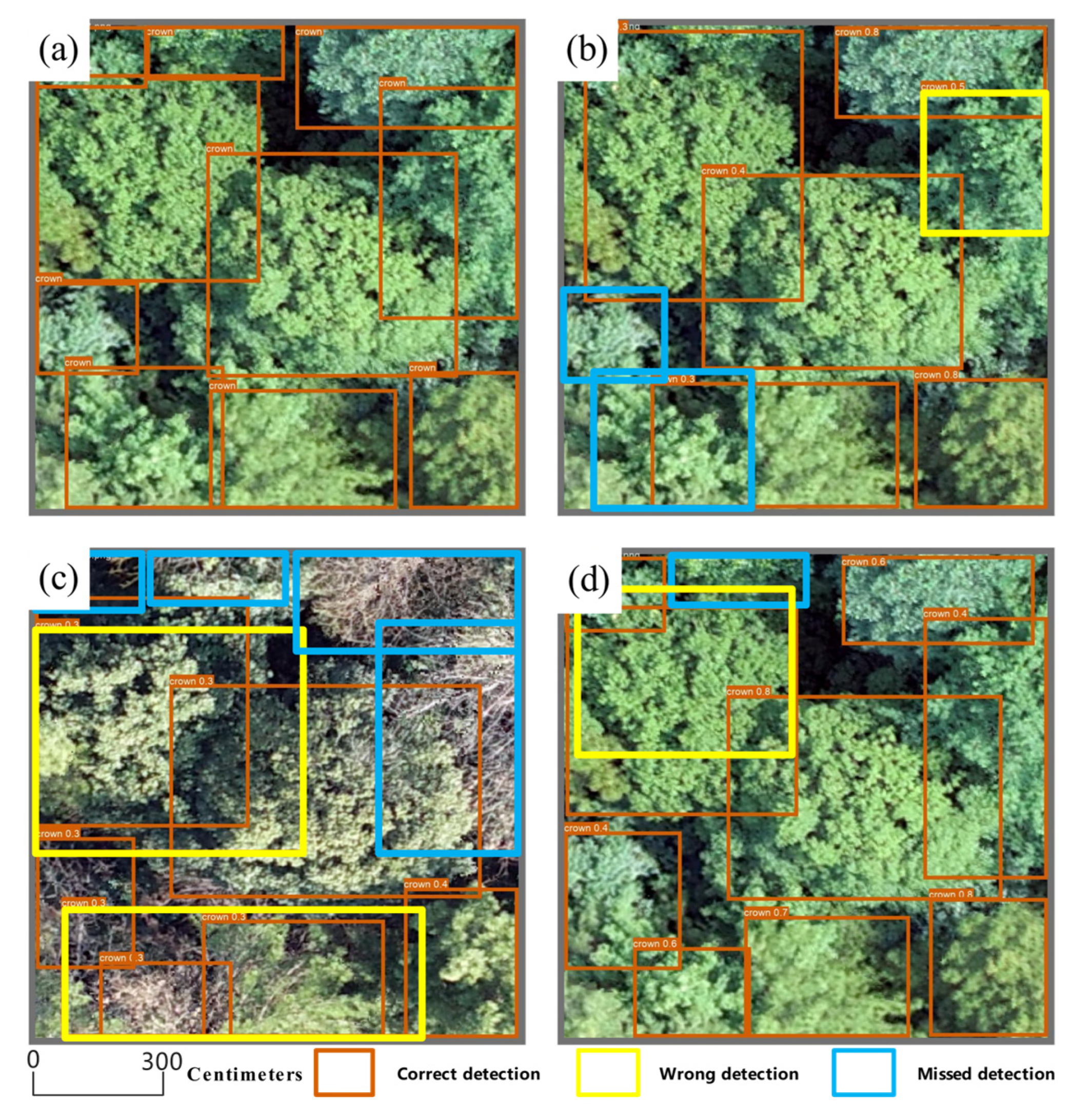 Forests 16 01614 g011 Forests 16 01614 g011