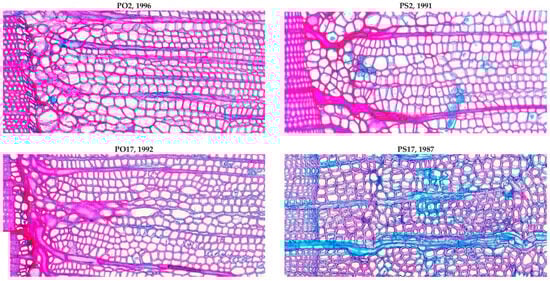 Forests 16 01622 g0a5