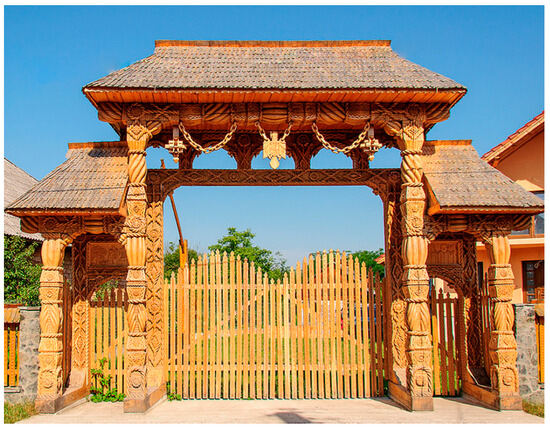 Forests 16 01638 g001