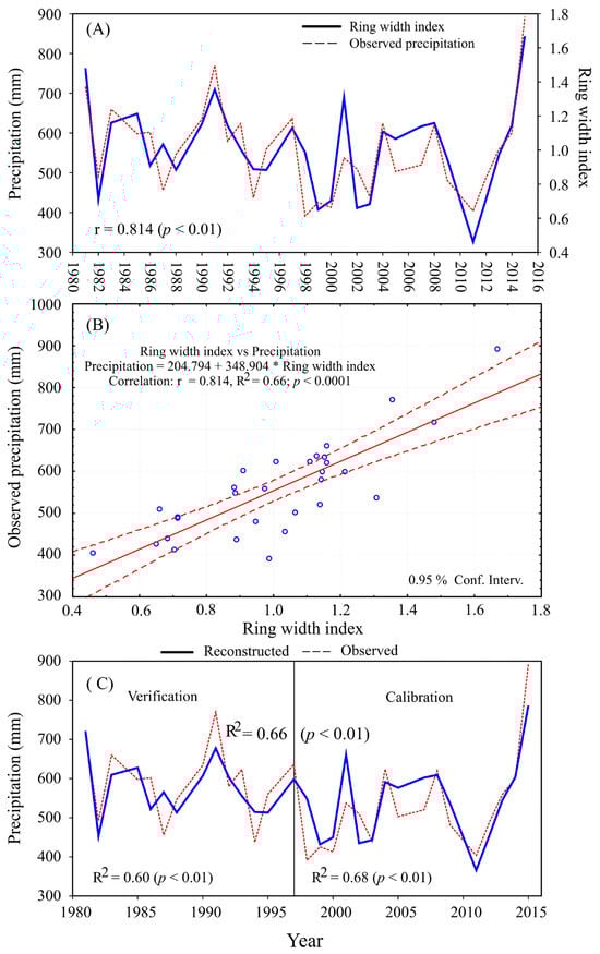 Forests 16 01639 g006
