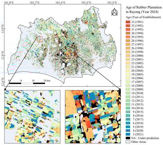 Forests 16 01652 g003